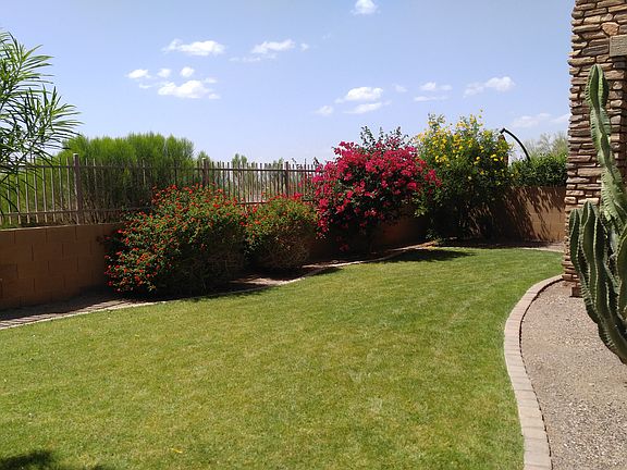 Backyard north view