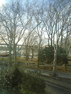 Rented by NY Space Finders Inc. | media 1