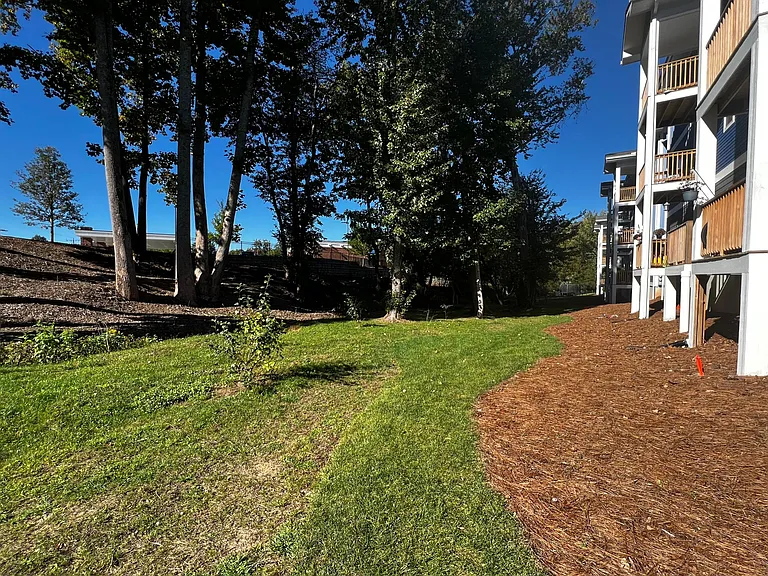 Large Community Yard for kids, dog walking or leisure.