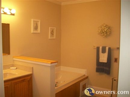 Master bath with jetted tub and shower