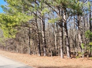 160 Green Meadow Ln, Fayetteville, GA 30215