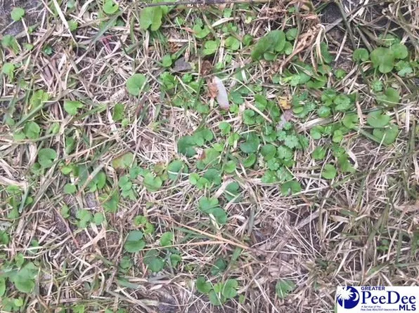 3632 W Forest Lake Dr, Florence, SC 29501