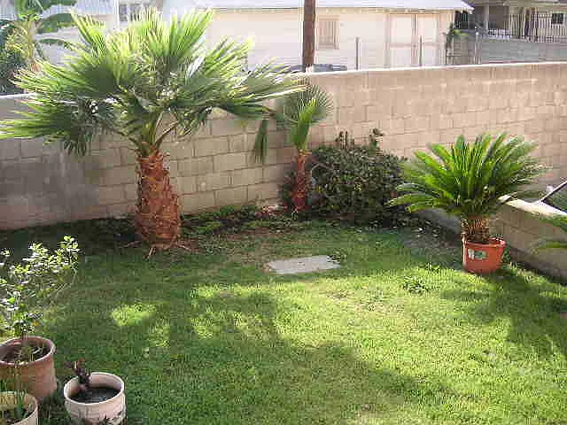 111 S Marguerita Ave #E — Photo 3