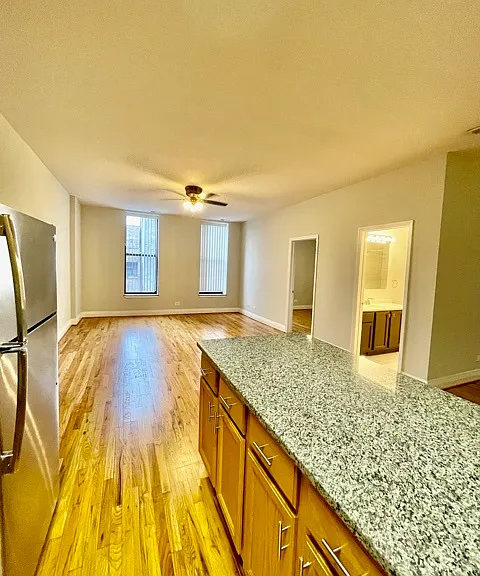 1459 N Milwaukee Ave #3A — Photo 6
