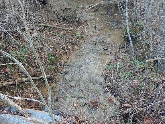 3rd image of Mill Creek Rd