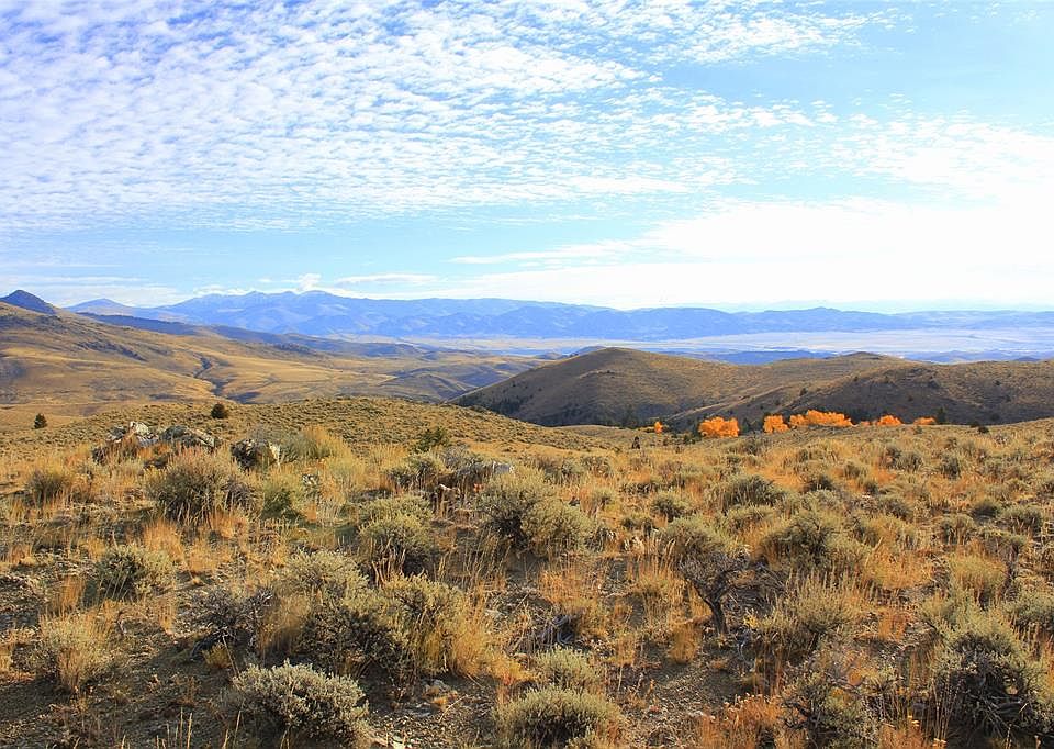 Trapper Creek Rd, Melrose, MT 59743 Zillow