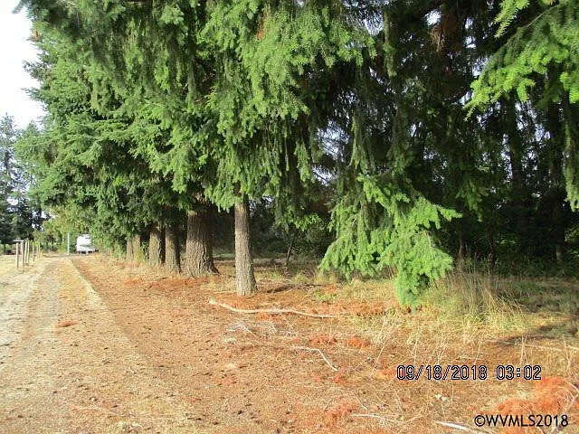 41541 Baptist Church Dr photo 1