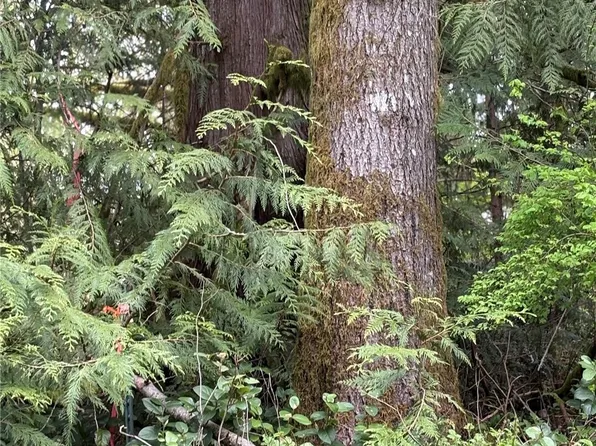 0 Lot 15 W Shore Drive, Lake Cavanaugh, WA 98274