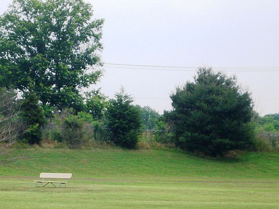 Rear playground