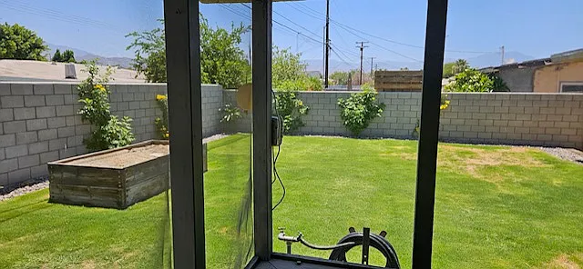 backyard, view from patio