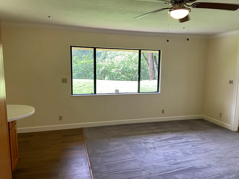 Living room window