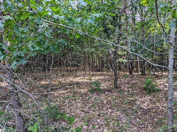 4th image of S Forest Lake Dr