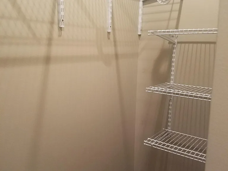Master Walk in closet