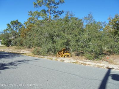 0 Deep Creek Dr, Spring Hill, FL, 34609