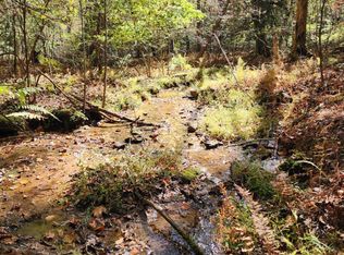 0 Grace Dr, Blue Ridge, GA 30513