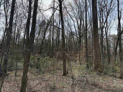 1 Highway 69, Milledgeville, TN, 38359