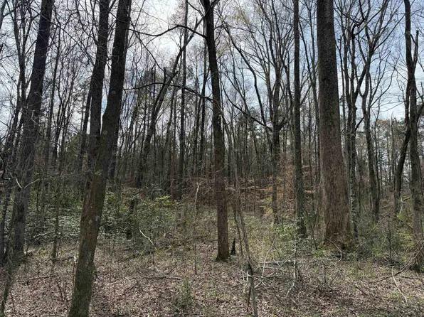 1 Highway 69, Milledgeville, TN 38359