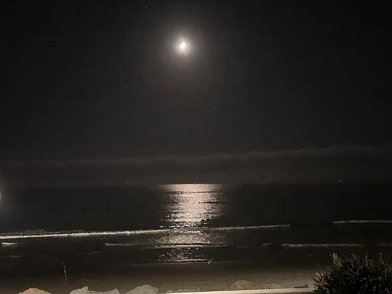 Moonlight from boardwalk