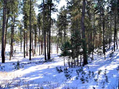 LOT 15 Caledonia Trl, Custer, SD, 57730