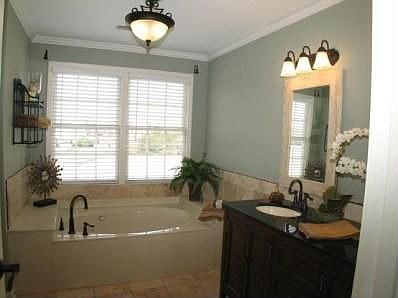 Master Bath Whirlpool Tub