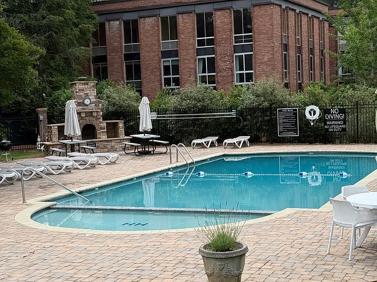 community pool with BBQ area and fireplace