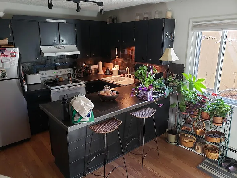 1705 Springmeadows Ct #B — Photo 3