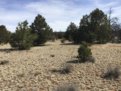 15 Country Ln, Ramah, NM, 87321