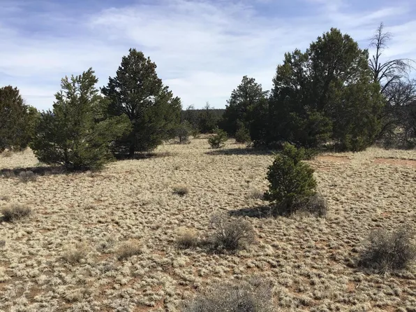 15 Country Ln, Ramah, NM 87321