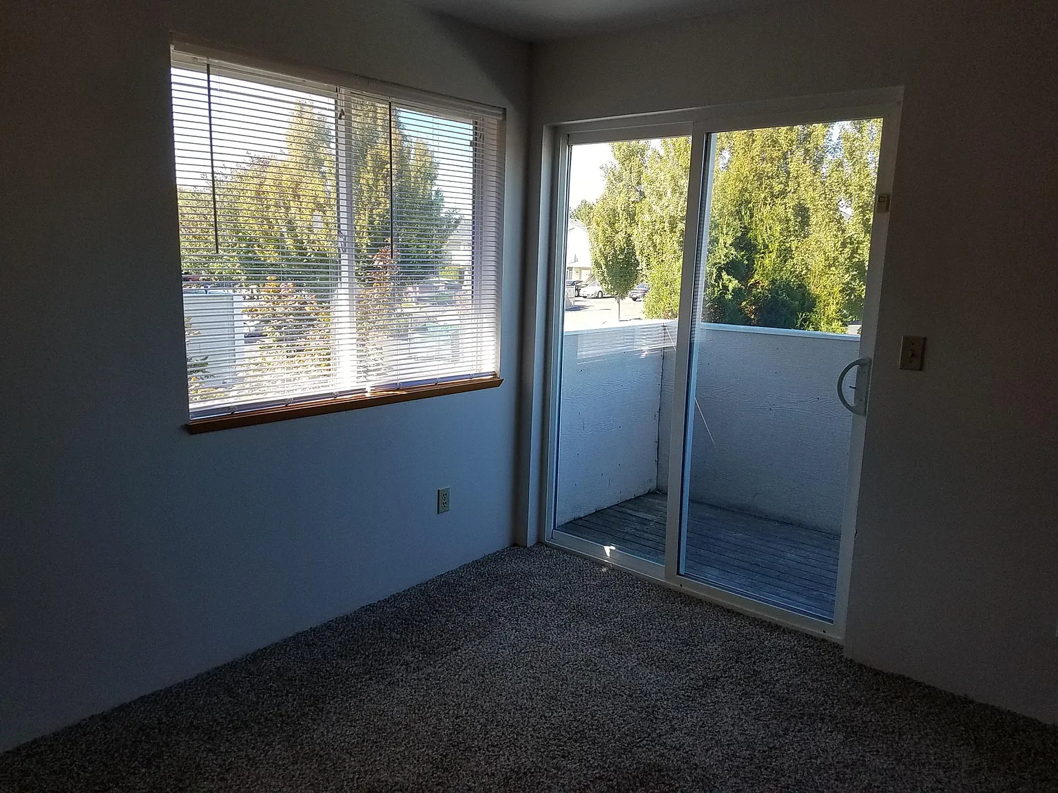 902 E Juniper Avenue — Photo 3