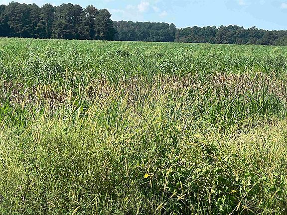 2nd image of  J. Ben Rogers Rd