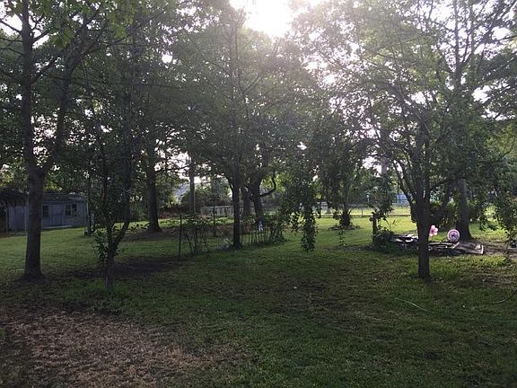 Hardwood in spacious backyard