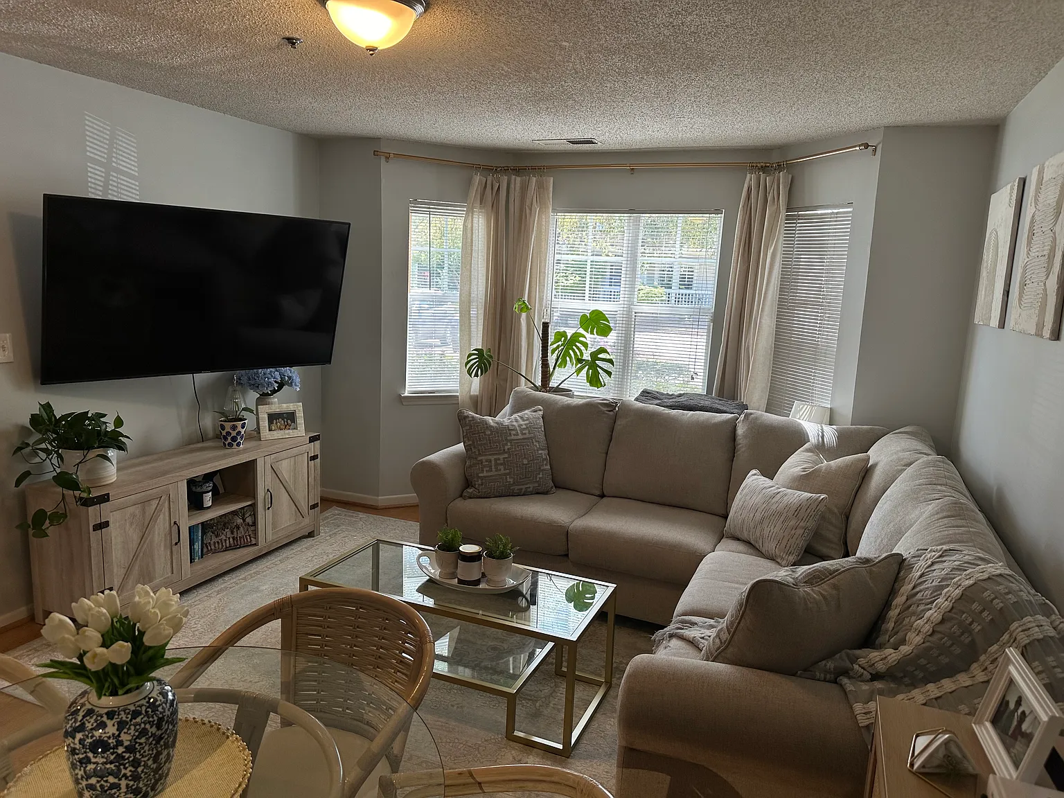 1 bed, 560 sqft, $1,625 — Photo 2