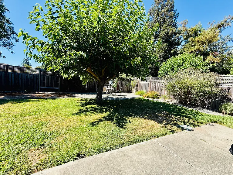 2849 Cypress St — Photo 22