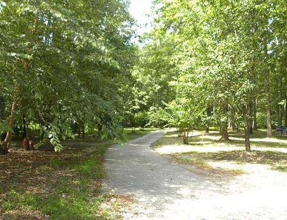 Driveway into the property
