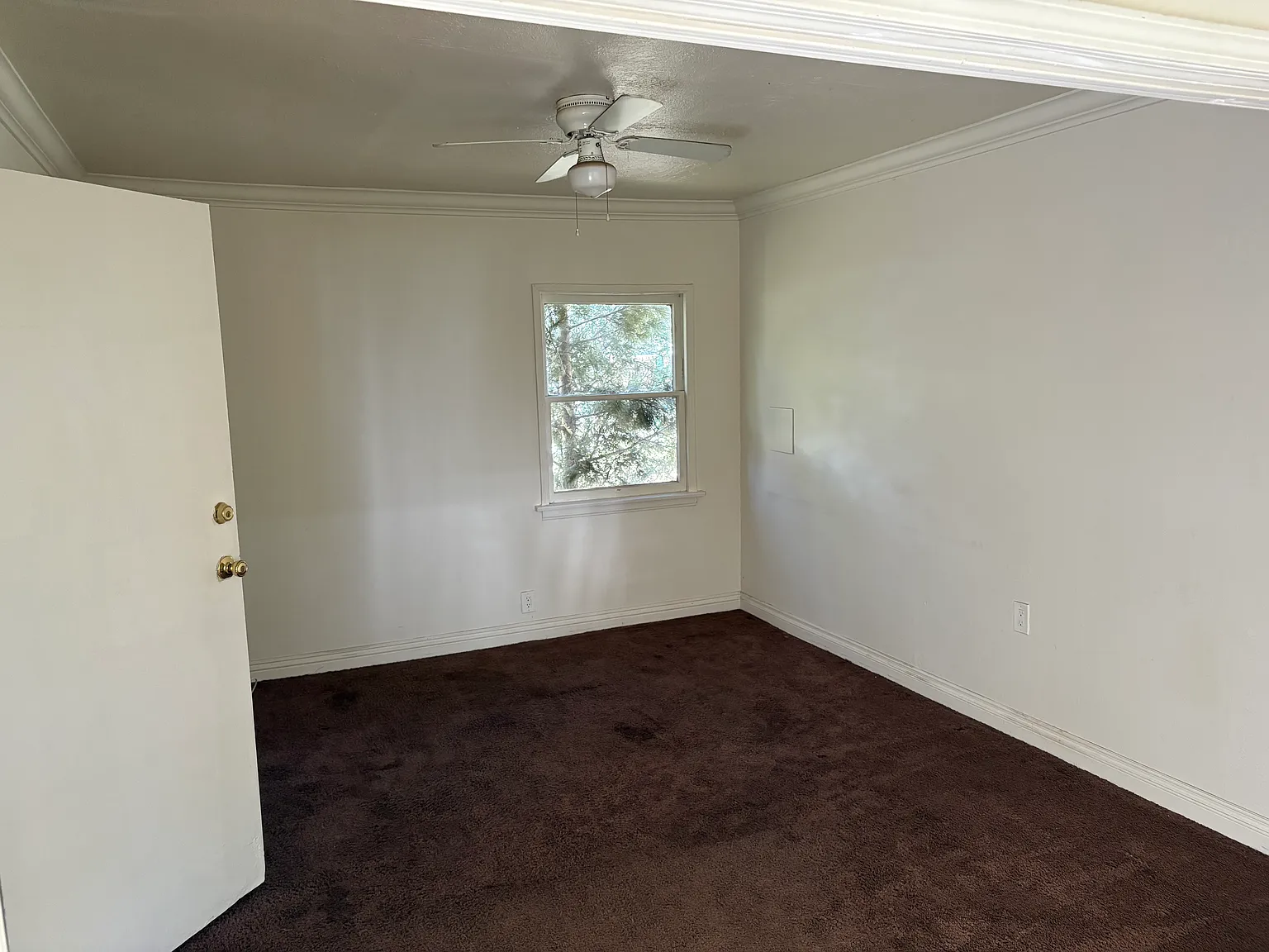 1 bed, 700 sqft, $1,575 — Photo 3