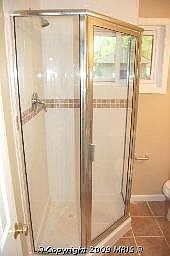 Lower level bathroom