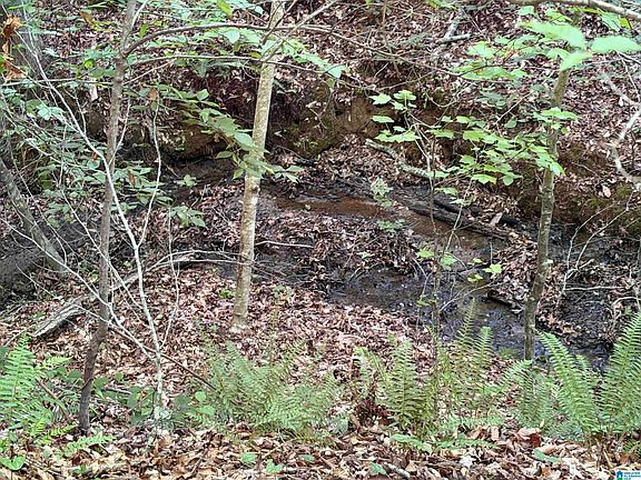 3rd image of 0 County Road 87 #2