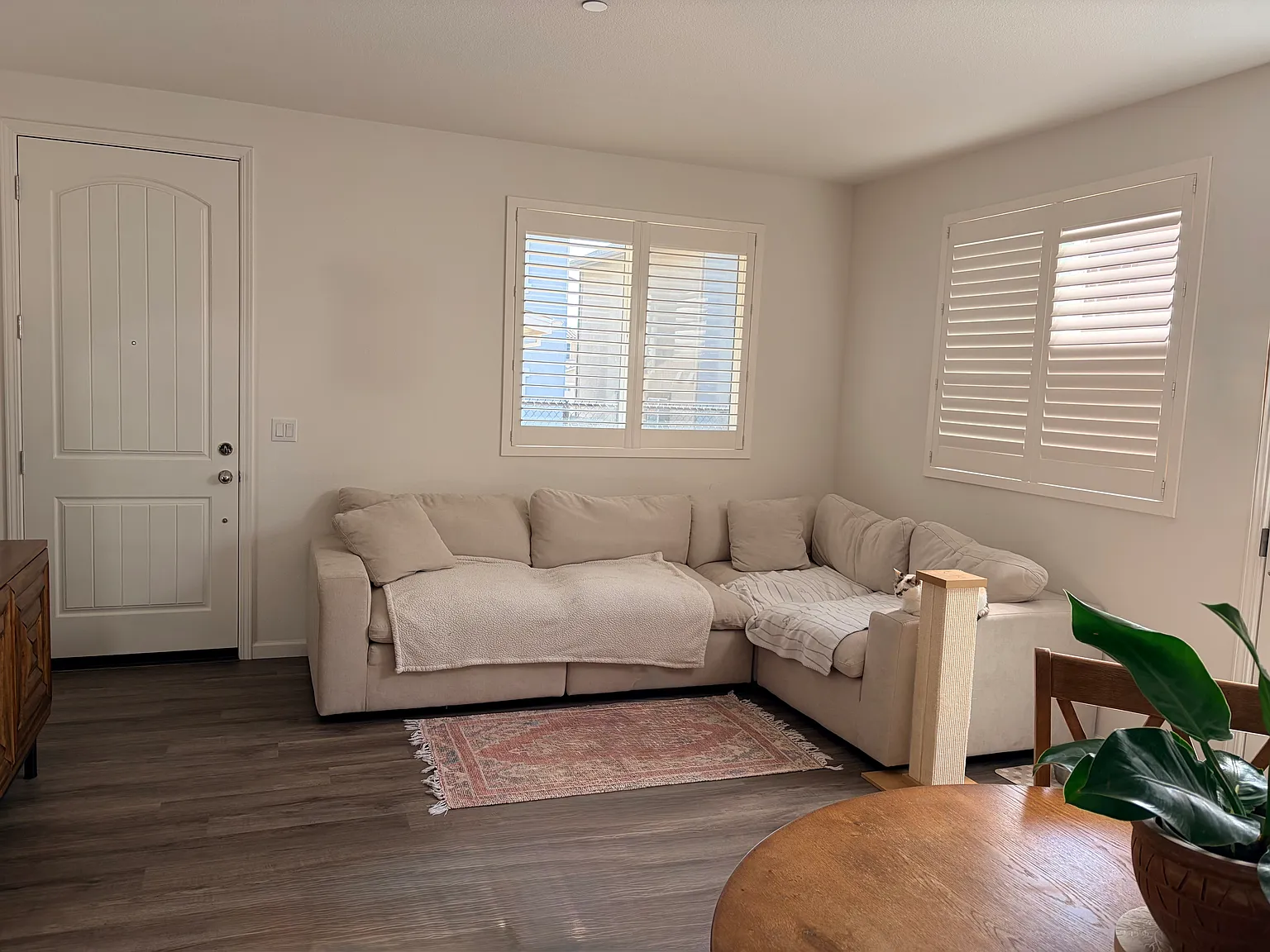 Mora Cir, Soledad — Photo 2