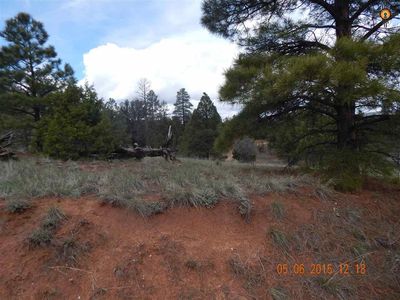 LOT 25 Cloh Chin Toh Grants LOT 25, Ramah, NM, 87321