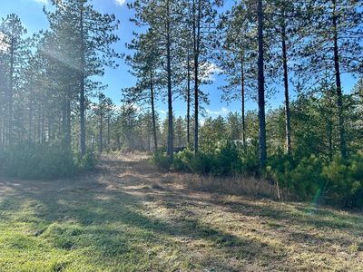 Xxx Cathedral Pines Dr, Sturgeon Lake, MN, 55783