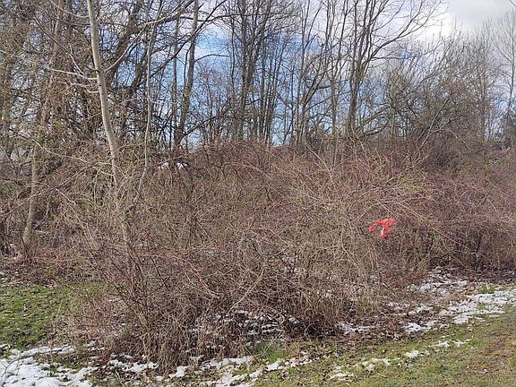 3rd image of 57-58 59 Crown Dr