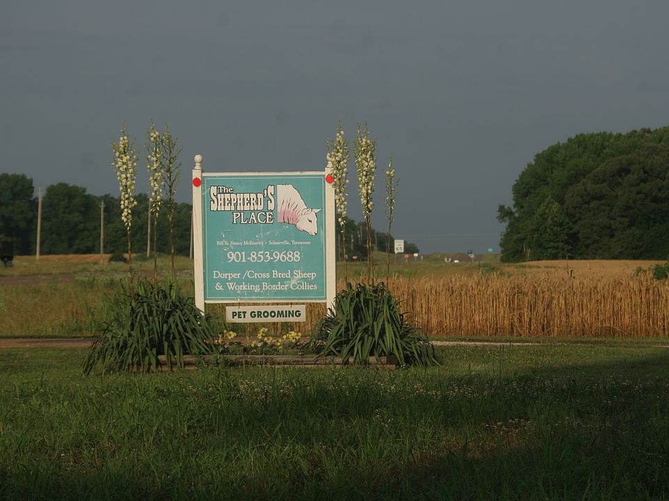 1st image of 26205 Highway 64