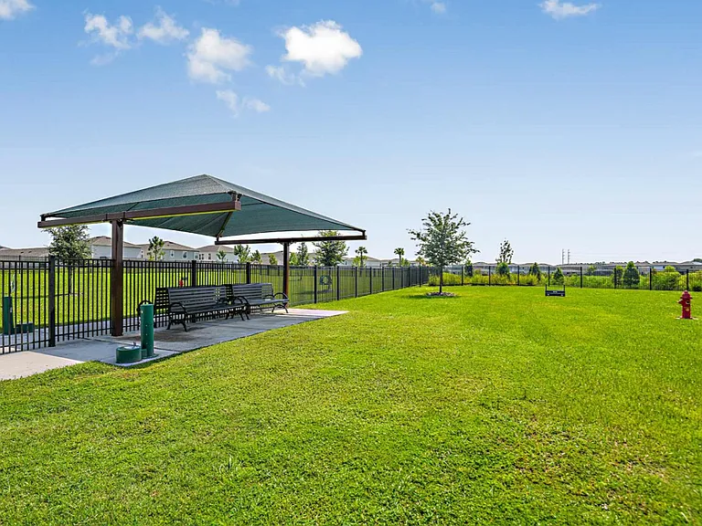 Dog Park