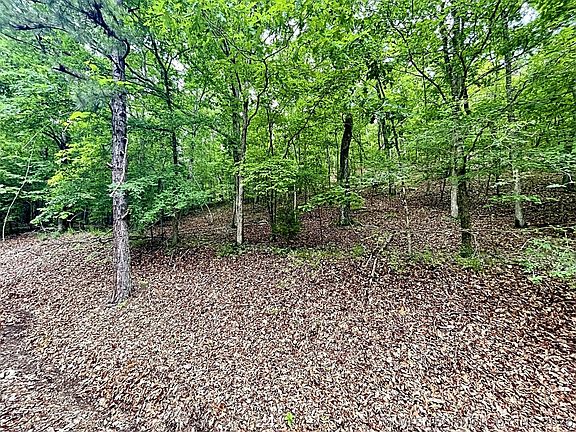 5th image of 8128 W Clear Creek Rd