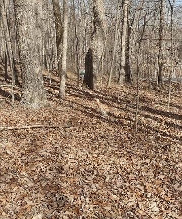 4th image of 1 Ridge Cliff Dr Lot 49