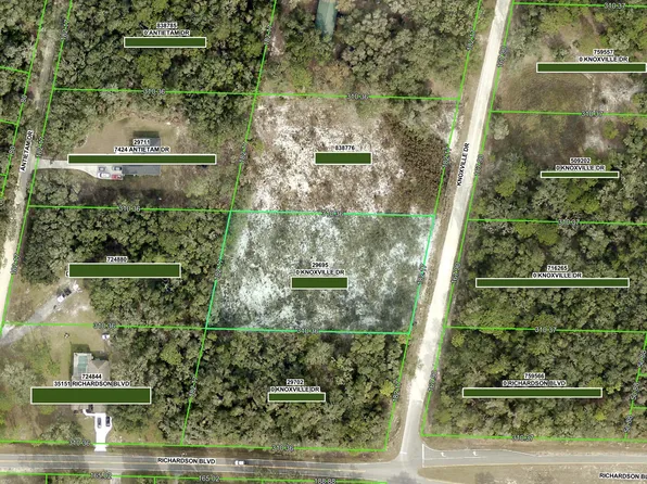 0 Knoxville Dr, Webster, FL 33597