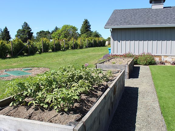 Grow your own veggies