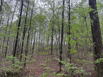 193 Highway Rd, La Fayette, GA, 30728