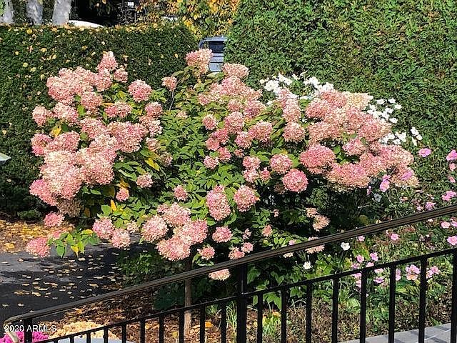 1st image of 23223 N 95th Pl
