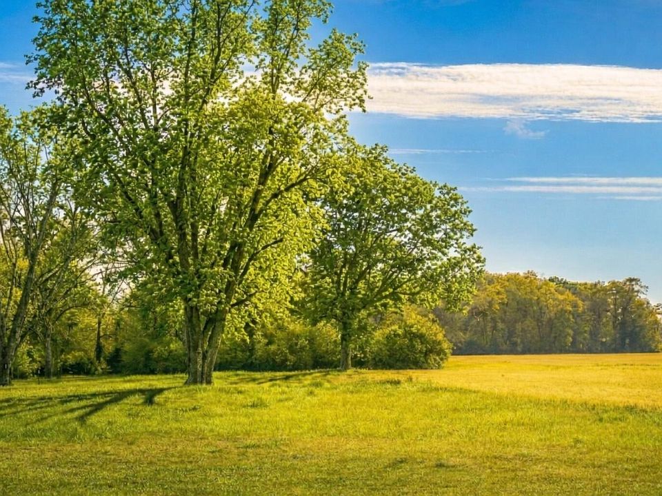 1st image of Vinson Ray Rd